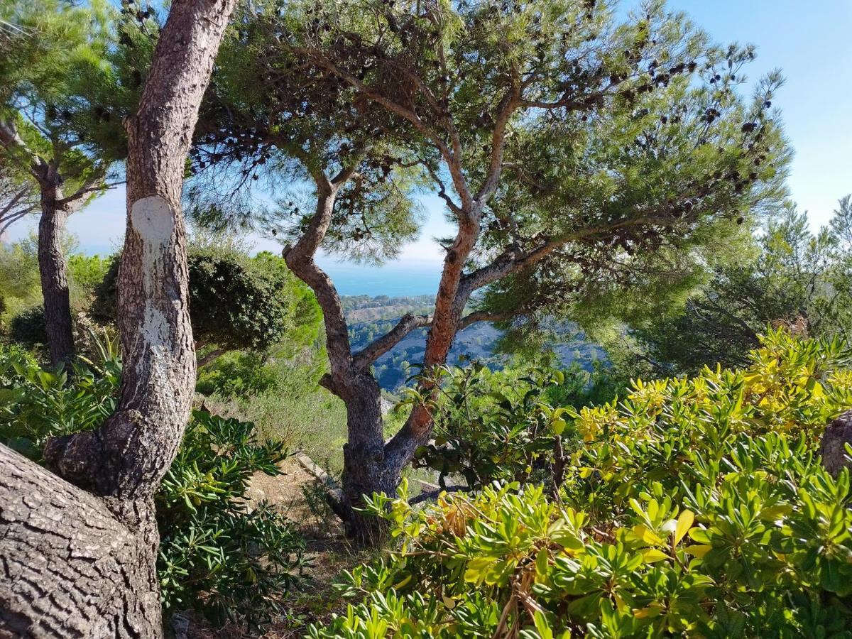 카시스 Sweet Calanque - Host Provence 아파트 외부 사진